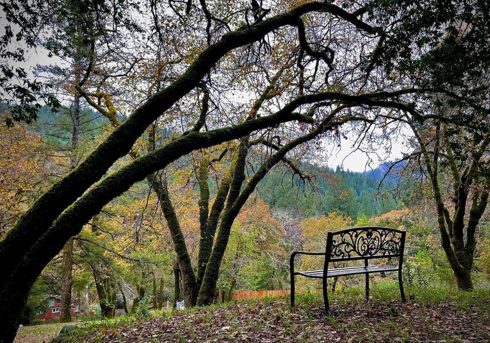 Avenue Of The Giants Pepperwood Place Miranda Esterno foto